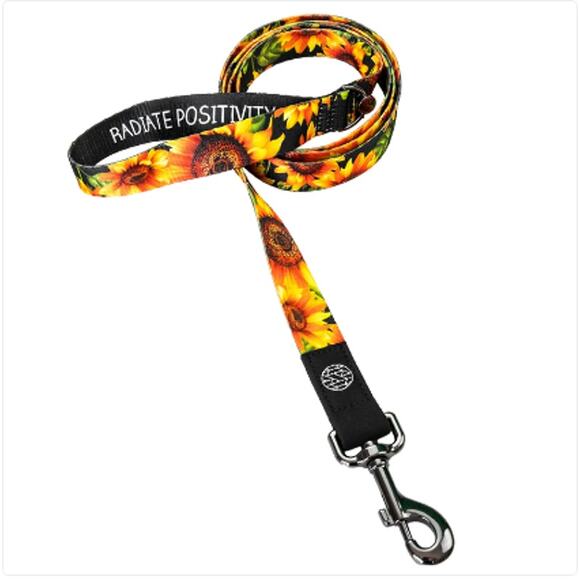Zox Dog Leash - Radiate Positivity - Sunflower Orange 1" Wide Numbered 0233 - Picture 4 of 9